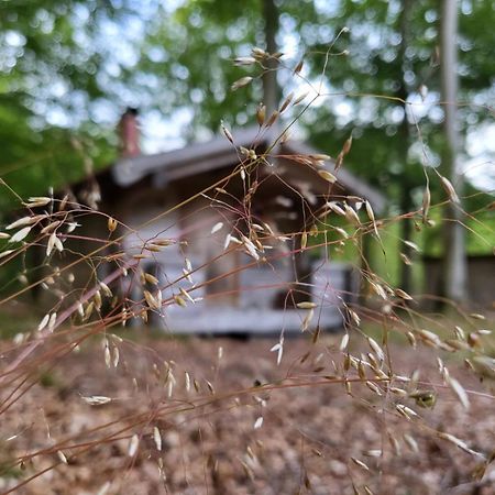 Bjaernhultsgardens Stugor Linderod Экстерьер фото