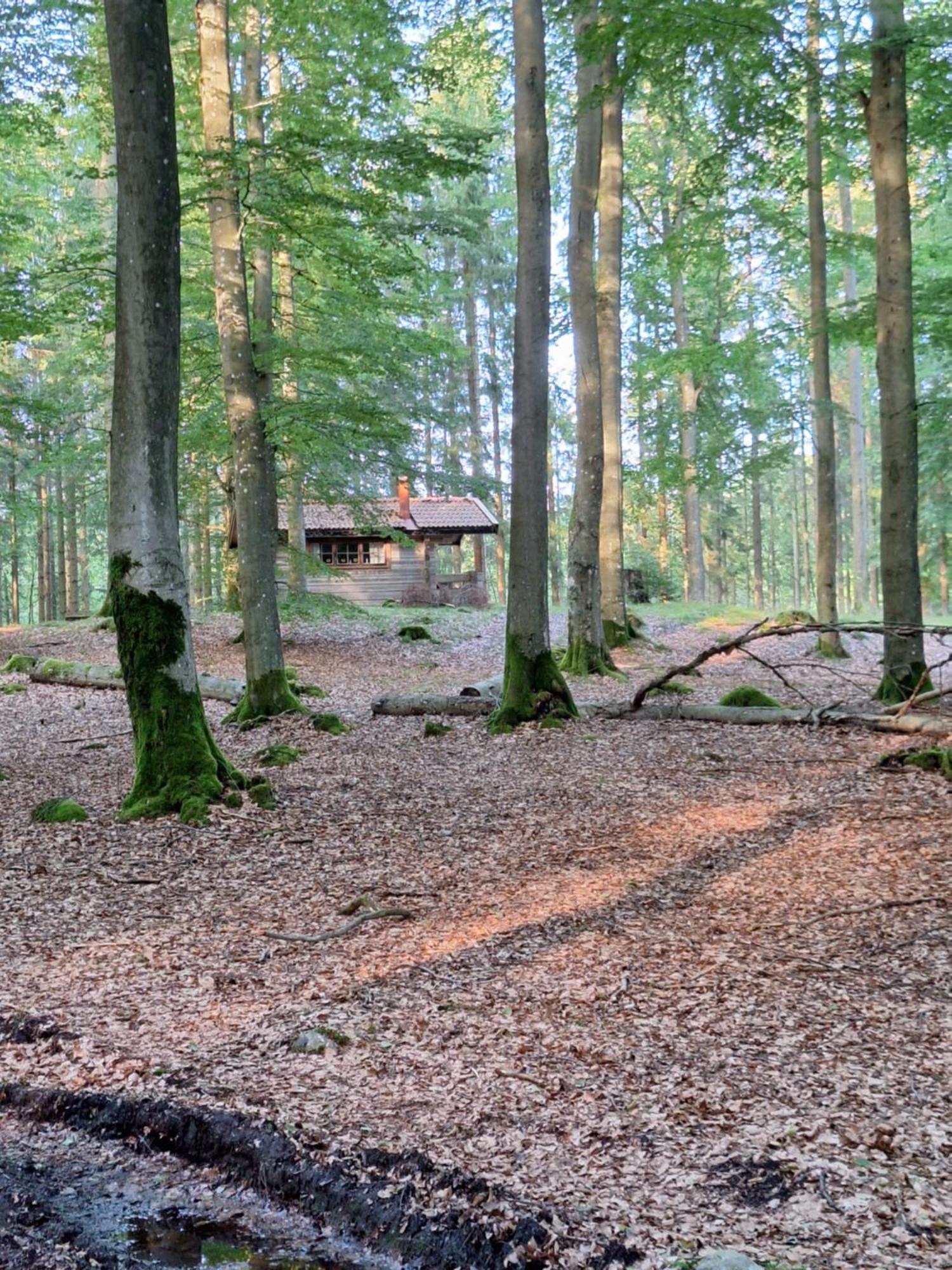 Bjaernhultsgardens Stugor Linderod Экстерьер фото